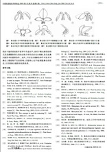 鼻尖整形的常用技术3.jpg